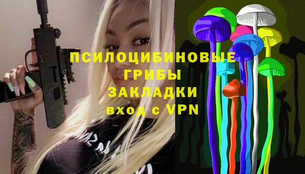 крисы Липки