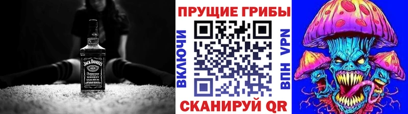 Псилоцибиновые грибы Psilocybe  Мегион 